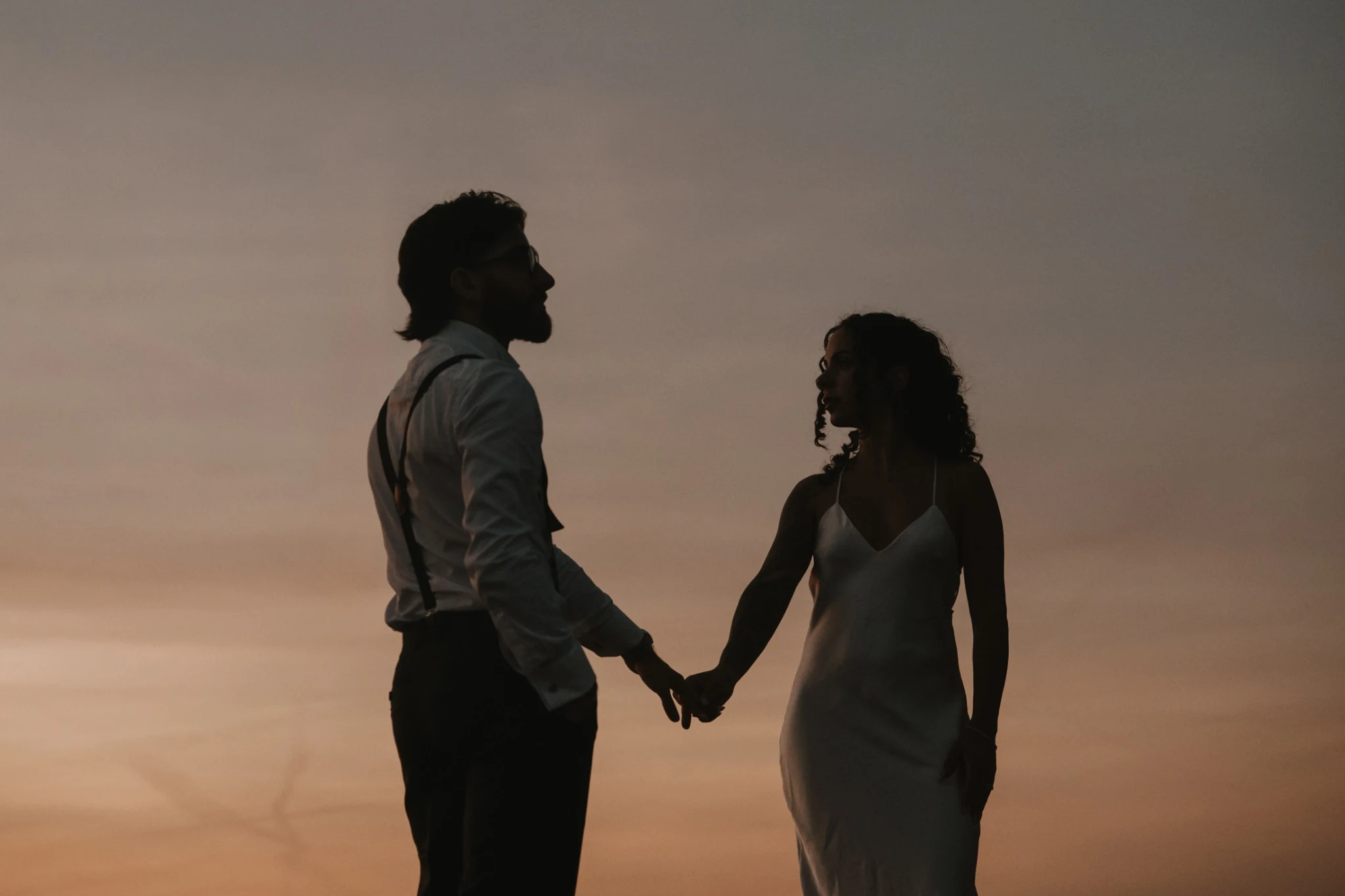 Gli sposi mano nella mano contro il cielo della sera